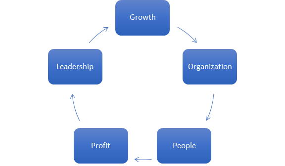 Strategy model for firms